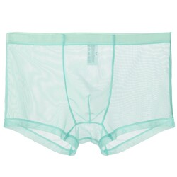 Slips Unterwäsche L~2XL Netz Sexy Shorts Dünn Transparent Trunks Unterhose