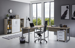 BMG Möbel Homeoffice Büromöbel Office Edition Set 2 in verschiedenen Farben