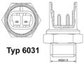 BorgWarner (Wahler) Thermoschalter Temperaturschalter Kühlerlüfter 6031.92D M 22