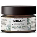 Shilajit Harz - Original Himalaya Mumijo - vegan & laborgeprüft, 85+ Mineralien