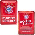 FC Bayern München Blechschild 2er-Set Schild Logo Allianz Arena FCB Fanartikel