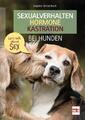 Sexualverhalten - Hormone - Kastration bei Hunden Sophie Strodtbeck