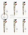 6 x Injektor Einspritzdüsen BMW X5 E46 E60 E61 320d 330d 530d 0445110209 7794435