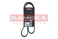 KAMOKA 7016055 Keilrippenriemen für AUDI BMW SEAT SKODA VW