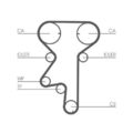 CT975WP2 CONTINENTAL CTAM Wasserpumpe + Zahnriemensatz