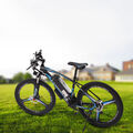 E-MOUNTAINBIKE 250W ELEKTROFAHRRAD 26 ZOLL EBIKE 36V/48V E CITYBIKE 21 GANG