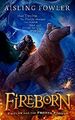 Fireborn: Twelve and the Frozen Forest: The extrao by Fowler, Aisling 0008394156