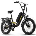 Ebike 20 Zoll Elektrofahrrad 48V 15AH E Mountainbike Shimano Pedelec 25km/h