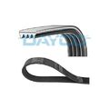 1x Keilrippenriemen DAYCO 4PK855 passend für AUDI BMW DAIHATSU FIAT MAZDA VW