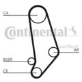 CONTINENTAL CTAM Wasserpumpe + Zahnriemensatz CT539WP1 für AUDI 100 C3 Avant 445