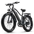 26 Zoll Elektrofahrrad E Mountainbike 48V 20AH E-Bike 1000W Motor Trekking EBike