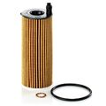 Mann-Filter Ölfilter Motorölfilter Filter Hu6014/1Z für BMW Toyota 2010->