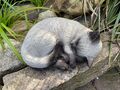 Schlafende Siam Katze Kater Deko Gartenfiguren Haus Figur