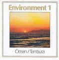 Environment 1 von Anugama | CD | Zustand sehr gut