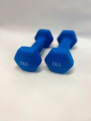 ❌2 x 2kg Vinyl Kurzhanteln Gewichte Hantelset Fitness Aerobic 2er Set Dumbells❌