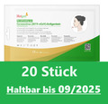 100x Hotgen 11/2025 Corona Schnelltest Antigen Nasal Selbsttest Laientest CE0123