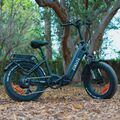 20'' Elektrofahrrad Klapprad E-Bike 350W Pedelec Citybike 25km/h E-fahrrad Neue