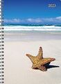 Ladytimer Ringbuch Beach 2023 - Taschen-Kalender A5... | Buch | Zustand sehr gut