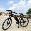 Elektrofahrrad 250W E Mountainbike 26 Zoll E-bike Shimano Pedelec 21 Gänge E-MTB