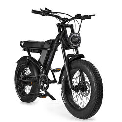 20" Mountain E-Bike MTB 500W Elektrofahrrad Fat Tires Elektro-Mountainbike EU