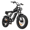 1000W Elektrofahrrad 48V 15Ah Shimano 7s Offroad Mountainbike 20 Zoll Fatbike