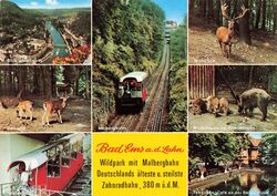 Bad Ems - Wildpark, Rheinland-Pfalz, BRD, Postkarte gelaufen 1974