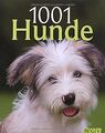 1001 Hunde von Dr. Beate Ralston, Jennifer Willms | Buch | Zustand sehr gut