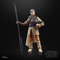 Hasbro Star Wars The Black Series Princess Leia Organa Boushh