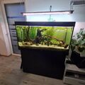 aquarium komplett mit unterschrank gebraucht