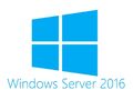 Microsoft Windows Server 2016 - Lizenz - 1 Benutzer-CAL #492