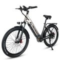 26 Zoll Ebike 500W E Mountainbike 48V 17Ah Damen/Herren Elektrofahrrad 25km/h