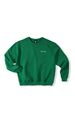 GREEN STUDIO PARI CREWNECK