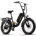 20 Zoll E Mountainbike 750W Elektrofahrrad Pedelec 48V 15AH Ebike 25km/h Moped