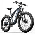 26Zoll Elektrofahrrad 48V 17.5AH Trekking eBike 1000W E-Mountainbike 25km/h Bike