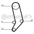 CONTINENTAL CTAM (CT939WP2) Wasserpumpe+Zahnriemensatz für AUDI VW