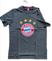 FC Bayern T-Shirt Logo anthrazit versch. Größen