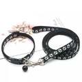 Hundehalsband und Leine Set kleine Hunde Welpen Chihuahua rot schwarz rosa etc.