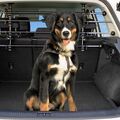 Universal Hundegitter Trenngitter Schutzgitter Kofferraum Auto Kombi SUV