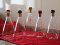5 exclusive Glasflaschen der Destillerie Nonino (Grappa-Hersteller)