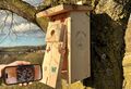 Hochwertiges Vogelhaus (Nistkasten) inklusive live stream Kamera- 23m Stromkabel