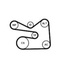 CONTINENTAL CTAM 6PK1733WP2 Wasserpumpe + Keilrippenriemensatz für AUDI SEAT