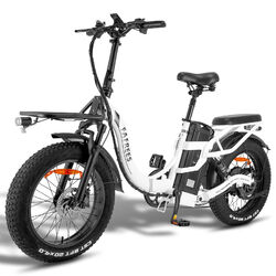 FAFREES F20 X-Max 20 Zoll Elektrofahrrad Klapprad 750W eBike 48V 30Ah E Citybike