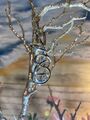  Schmuck Pierre Lang moderner Anhänger XL w. Neu silber  Luxus  