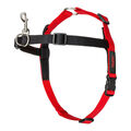 Hundegeschirr Company of Animals Halti Schwarz/Rot L [80-120 cm]