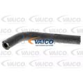 ORIGINAL® Vaico Kühlerschlauch für VW PASSAT B5.5 Variant PASSAT B5.5 Audi A4