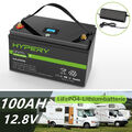Lithium Batterie 100AH 12V LiFePO4 Akku/ Ladegerät BMS Wohnmobil Solar RV Marine