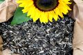 25kg Vogelpick Sonnenblumenkerne gestreift Ernte 2023 Vogelfutter