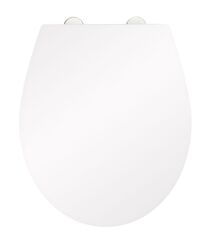 WENKO Premium WC Toiletten Klo Sitz stabiles Duroplast Absenkautomatik Motivwahl