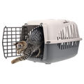 Hundebox Auto Rückbank Transportbox Katze Katzentransportbox Transportbox Grau