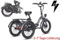 🔥Fafrees F20 Mate 3-Rad Elektrofahrrad 20Zoll Faltbares E-Bike Dreirad mit Korb